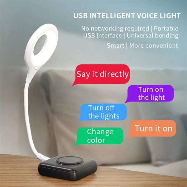 USB Smart Voice-Controlled Light