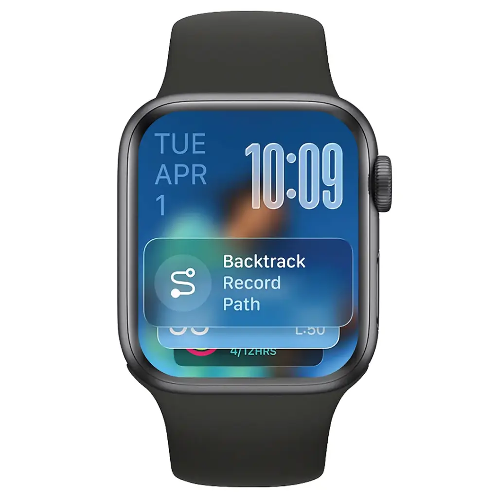 Green Lion Dynamic Duo