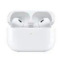 Green Lion Dynamic Duo