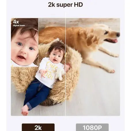 Comparison of a baby in a basket, a digital zoomed-in version, and a full-sized image of a dog.