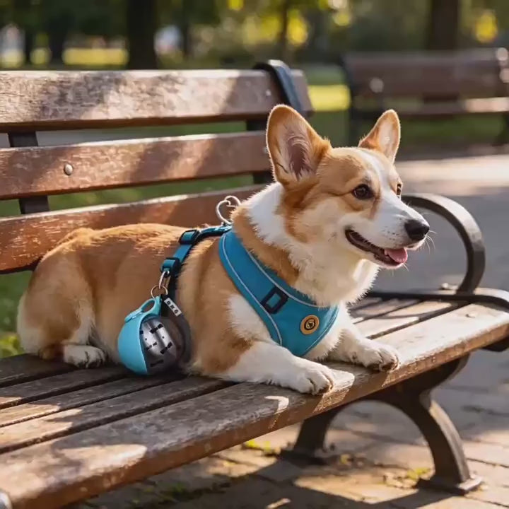 A video demonstration showing how to flip up the soft silicone leaf bowl and serve fresh water to a pet from the stainless steel travel canteen, available with fast delivery across Lebanon at LebTech Store.